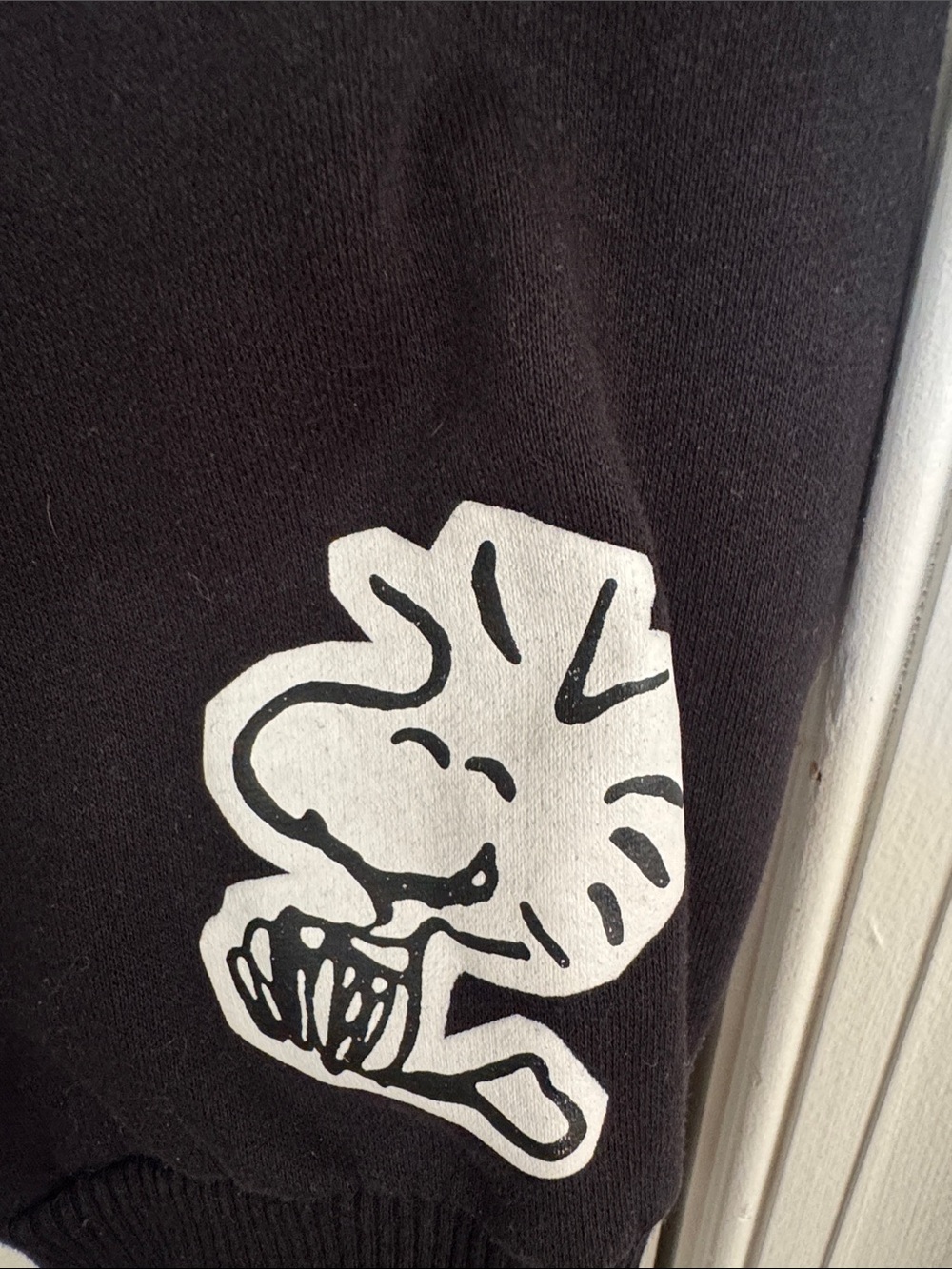Peanuts Black Hoodie with Blue Yellow Pink Panels - Picture 2 of 5